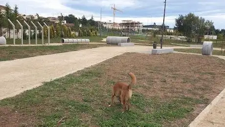 Photo de Parque Canino de Fânzeres