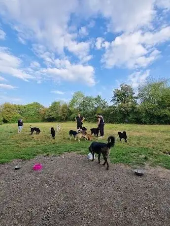 Photo de Hundefreilauffläche Süden