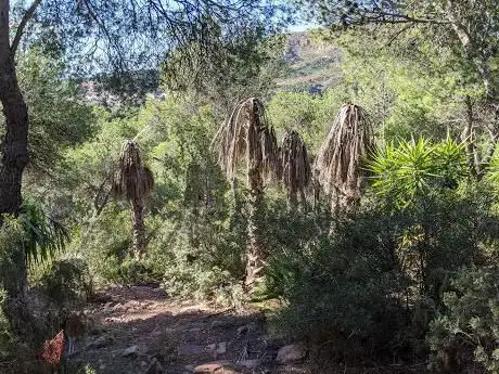 Photo de Arboretum