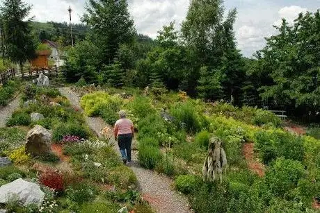 Photo de Alpenkräutergarten