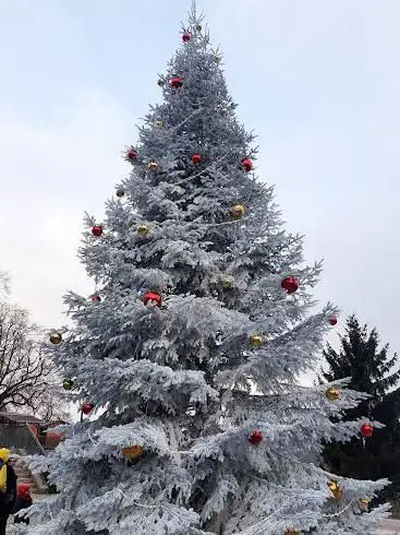 Photo de Marché de Noël Thonon-les-Bains
