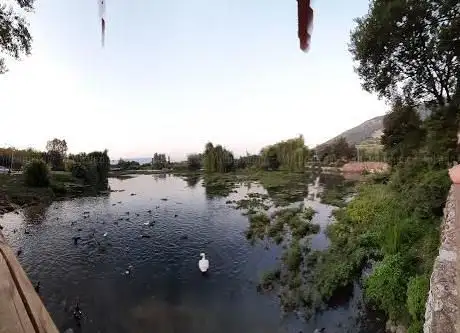 Photo de Lago Dei Cigni
