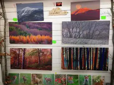 Photo de La galerie du Ventoux