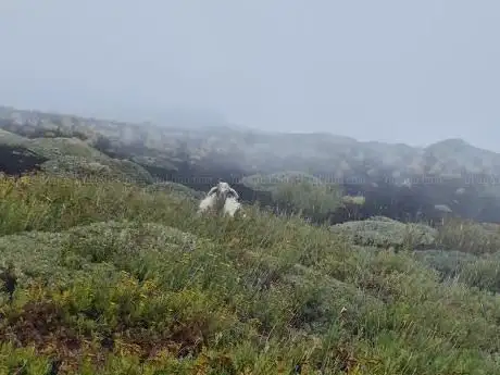 Photo de Serra Delle Concazze