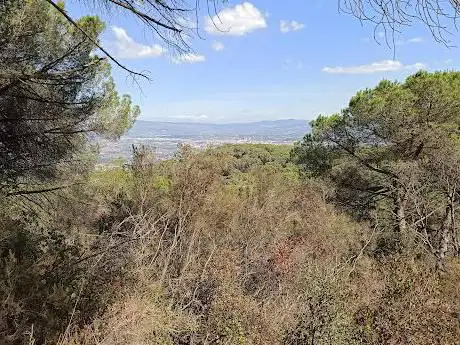 Photo de Ruta prehistòrica 2