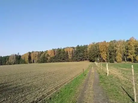 Photo de Calauer Schweiz