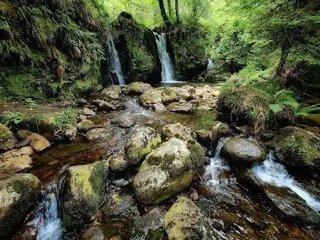 Photo de Cascade de Coolalingo