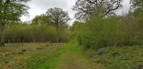 Photo de Grafton Wood Nature Reserve