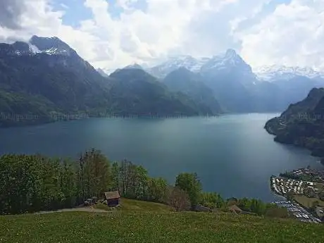 Photo de Gruebi Tannen