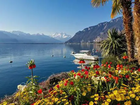 Photo de Quais de Montreux