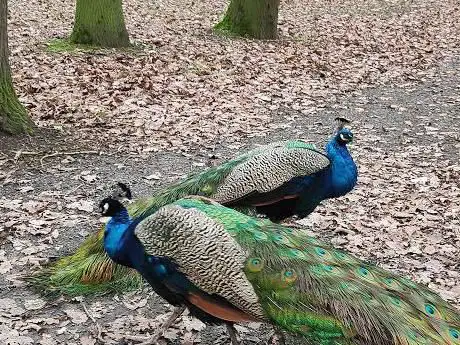 Photo de Eendenkooi Nieuwdonk