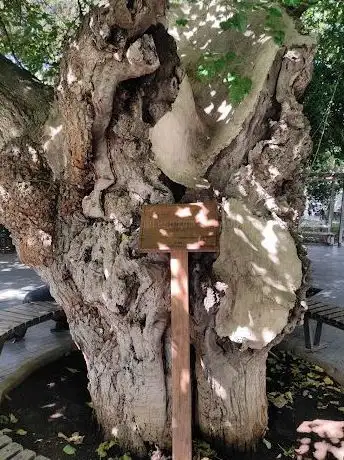 Photo de Ağçhan Parkı