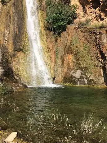 Photo de Zona las madroñosas