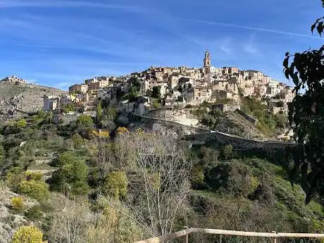 Photo de Arquea