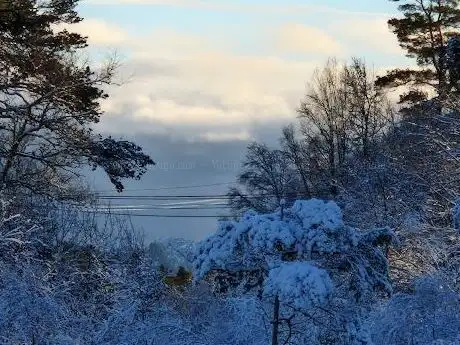 Photo de Skageskogen