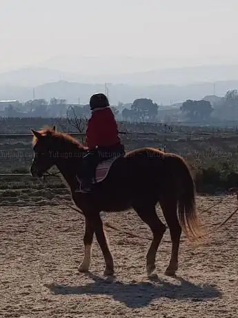 Photo de Centre d'Equitació Penedès