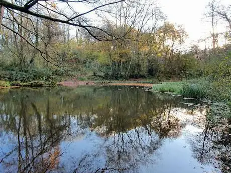 Photo de Allt-Yr-Yn Nature Reserve