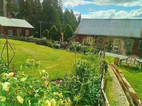 Photo de Ellen Heller Magnus Hedman