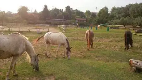 Photo de Equestrian Center Montemario