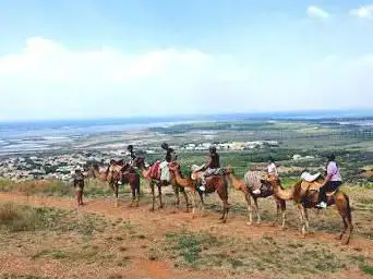 Photo de Ferme DromaSud