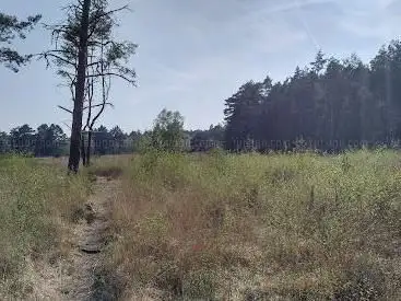 Photo de Chobham Common