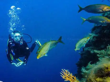 Photo of Côté Plongée Antibes dive center