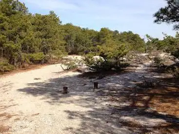 Photo de Cape Henlopen Disc Golf Course