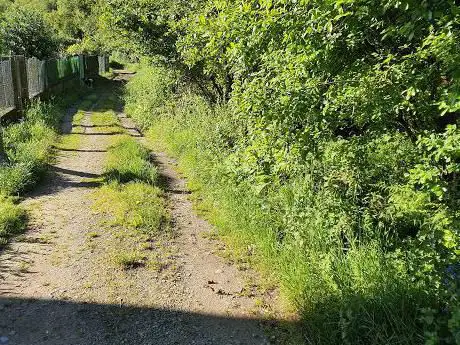 Photo de Ruta dos MuÃÂños do Rego das SaÃÂñas - O Regado