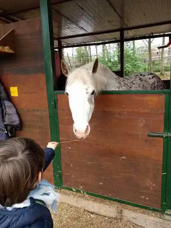 Photo of Ranch la Monella