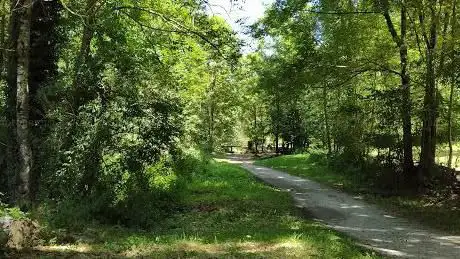 Photo de Àrea de picnic Verge del Raïm