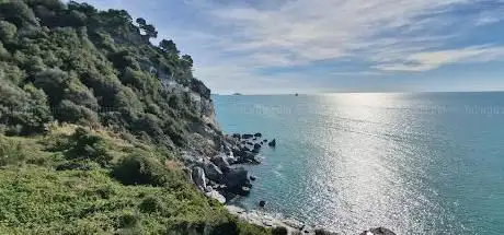 Photo de Punta Bianca