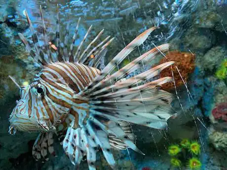 Photo de SeaQuarium
