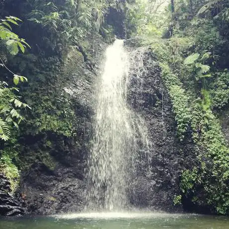 Photo de Gorges de la Falaise
