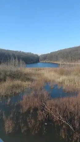 Photo de Eingang Waldweg Saufangweier