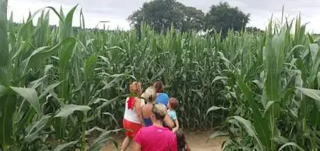 Photo de Le Labyrinthe de Chalosse