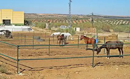 Photo de HÃÂpica Toledo a Caballo