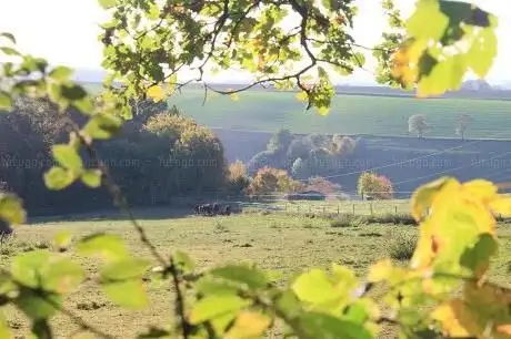 Foto de Zucht Und Reitanlage Rotherhof