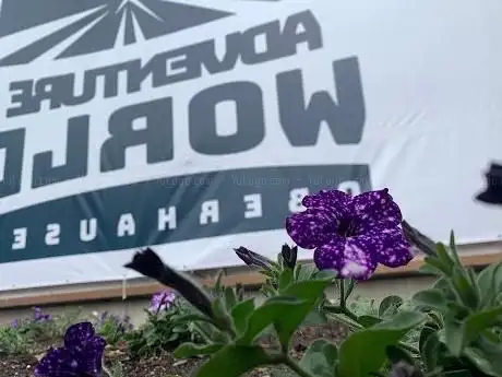 Photo of Planet Lasertag