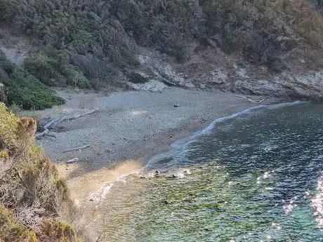 Photo de Spiaggia di Buzzancone o Cera