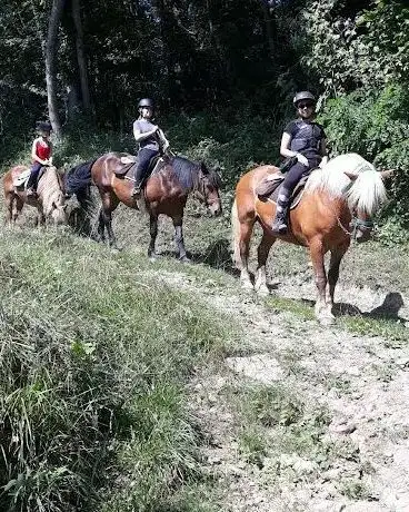 Photo of Association Equi'Libre