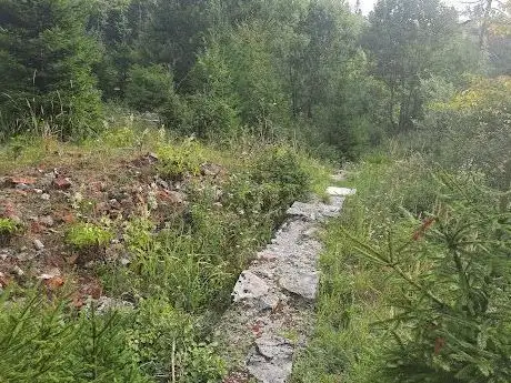 Photo de Kočevski Rog