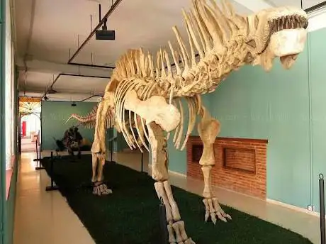 Photo de Museo Paleontológico de Estepona