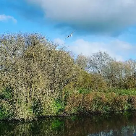 Photo de Gadespring Cressbeds