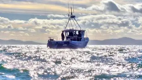 Photo de Dingle Ahoy
