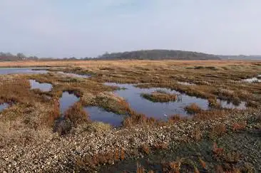 Photo de RSPB Dingle Marshes