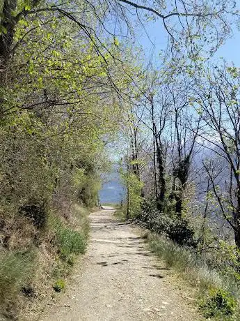 Photo de Ru de la Plaine