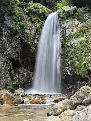 Photo de Hemşin Şelalesi Tabiat Parkı