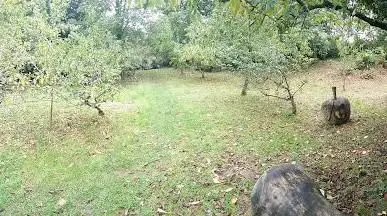 Photo de Sandown Community Orchard