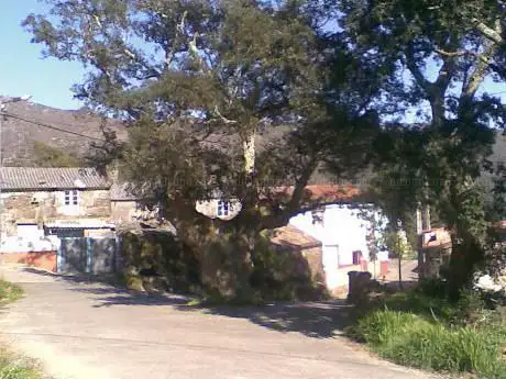 Photo de Vilariño Sobreira Senlleira