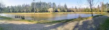 Photo de Etang de la Foucaudière